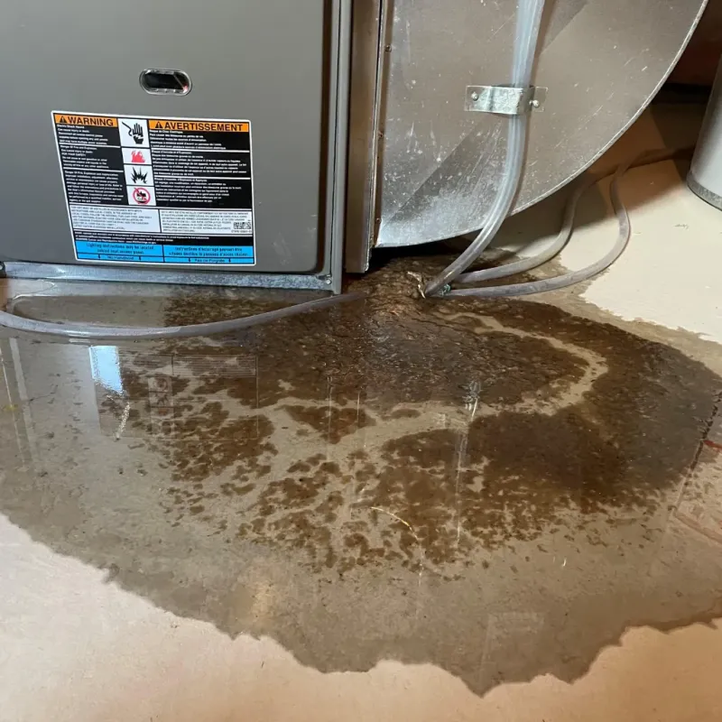 Appliance Leak Cleanup in Dunedin, FL